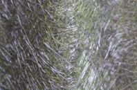 Dervaig fibreglass roof work